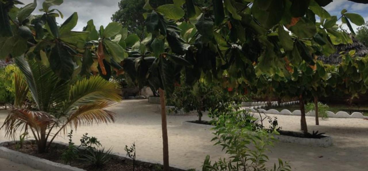 Mfumbwi Lodge Jambiani  Exteriér fotografie